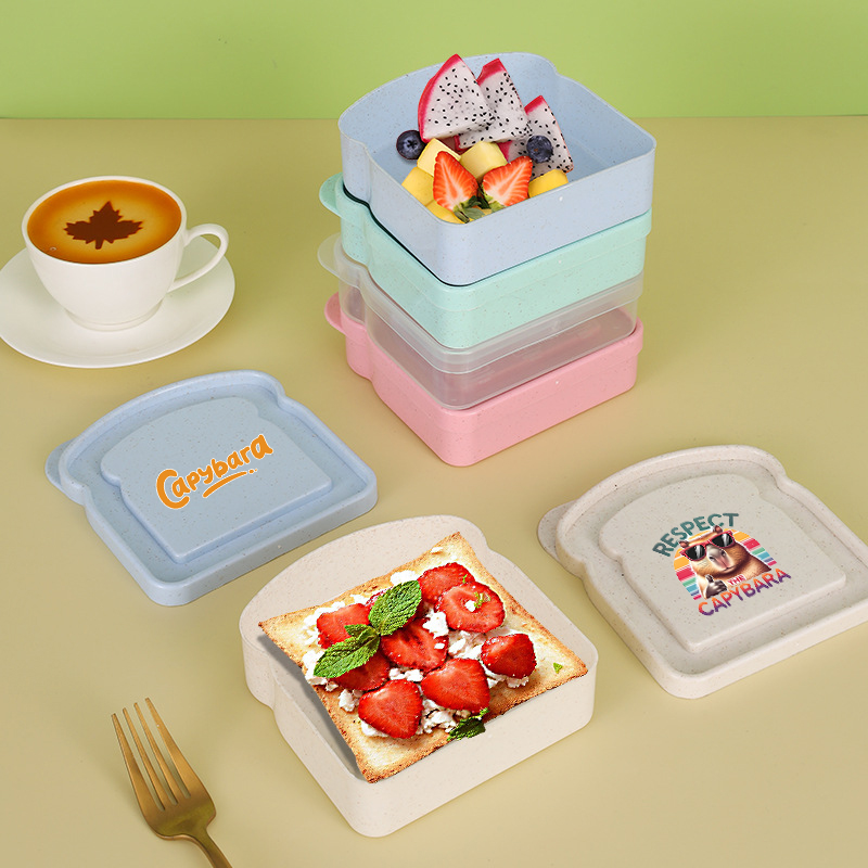 Pojemnik na kanapki z kapibarą – Food Storage Lunch Box recenzja i cena
